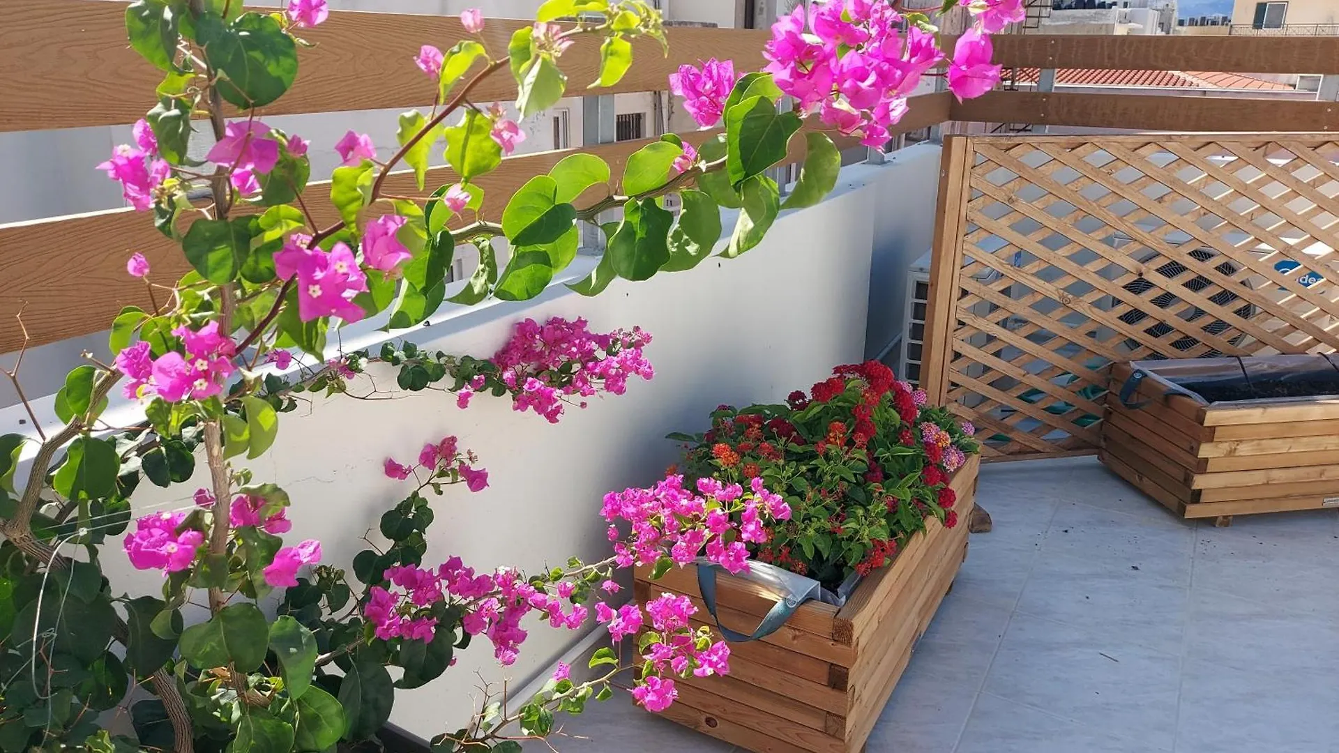The Little Big Apartment In The Heart Of Heraklion