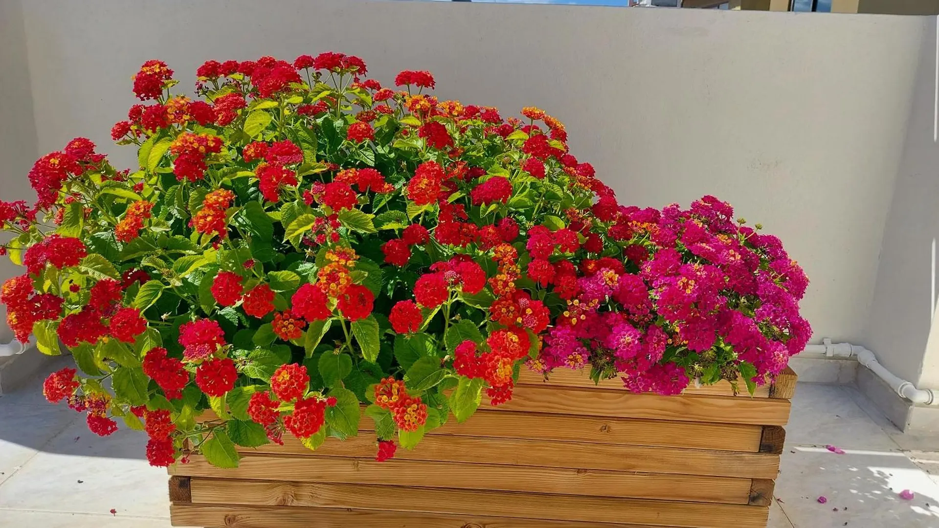 The Little Big Apartment In The Heart Of Heraklion Greece